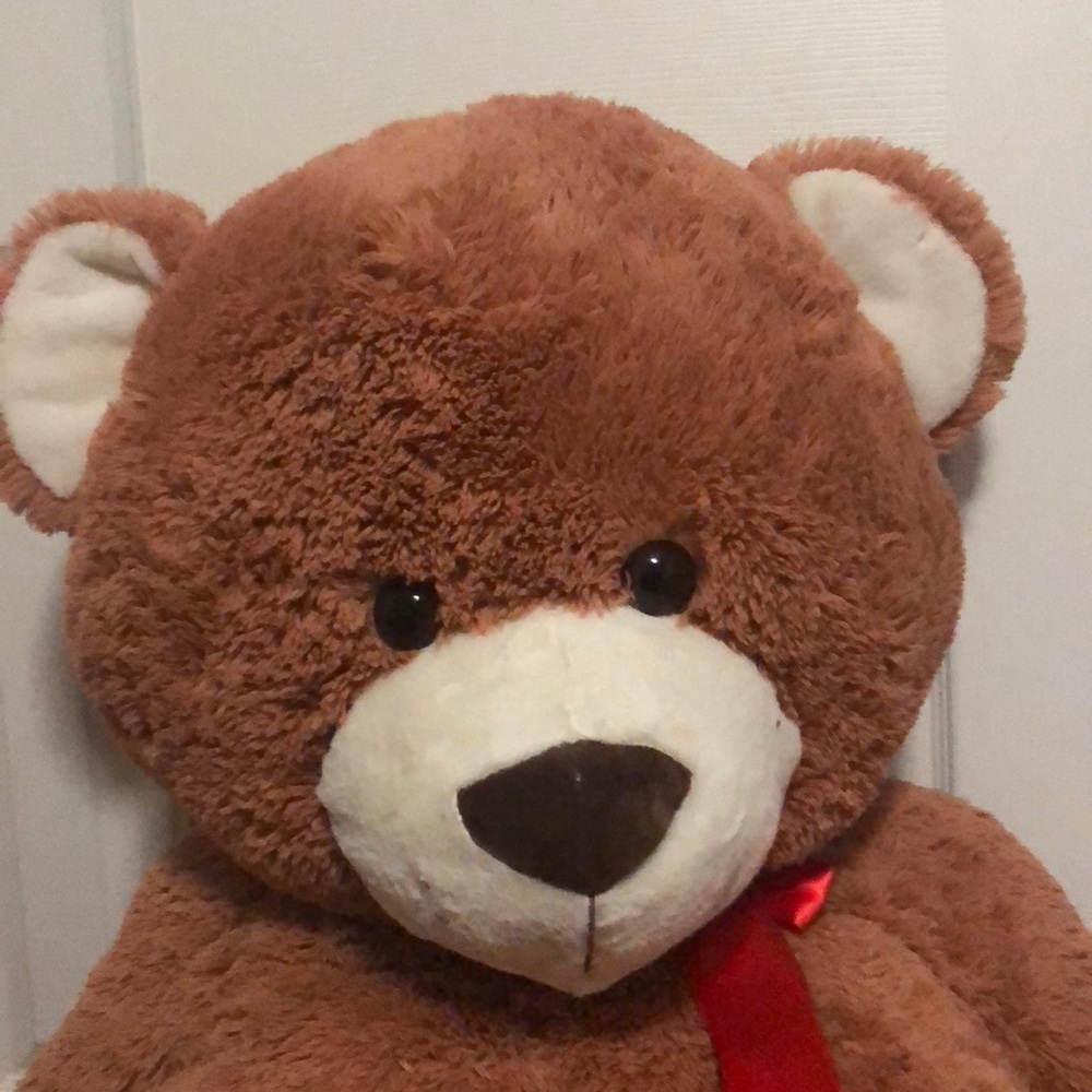 Big brown teddy bear!